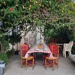 Château De Villeneuve - 3* Montolieu