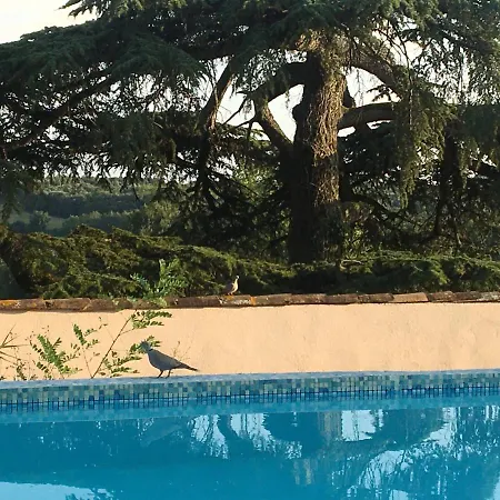 Bed & Breakfast Chateau De Villeneuve -