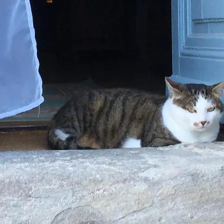 Chateau De Villeneuve -