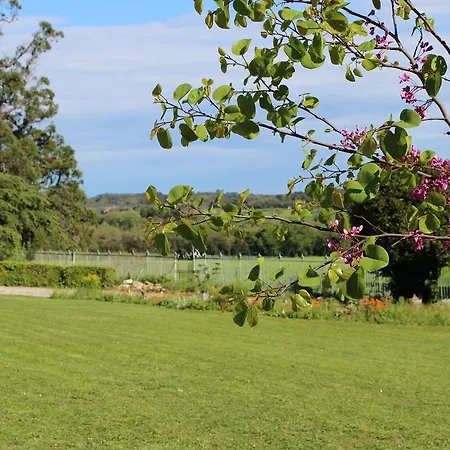Chateau De Villeneuve - Bed & Breakfast Montolieu