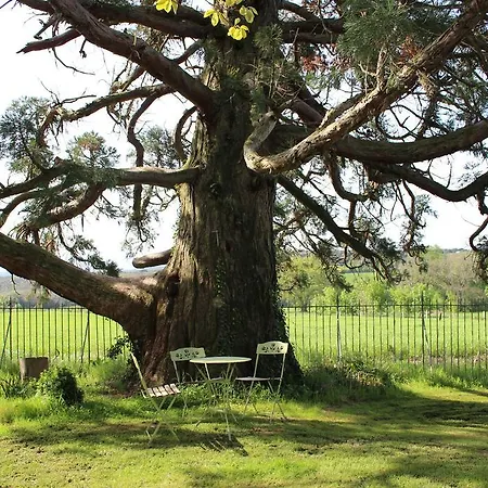 Bed and Breakfast Chateau De Villeneuve -