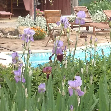 Chateau De Villeneuve - Bed and Breakfast *